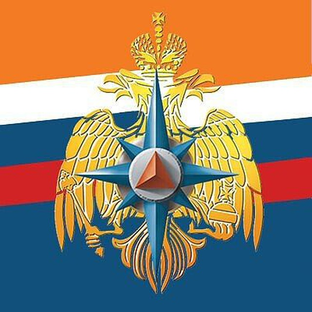 Статистика Дзен Главное управление МЧС России по Амурской области