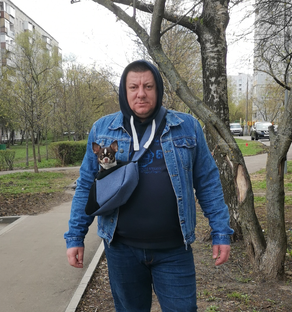 Статистика Дзен СЭМЧИК ОТ КАЛУГИНА