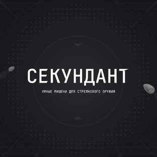 Статистика Дзен Умные мишени "Секундант"