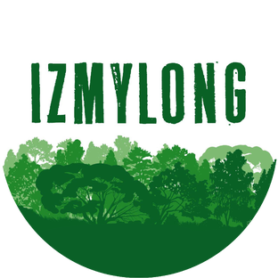 Статистика Дзен IzMyLong