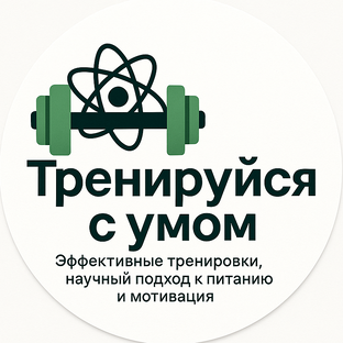 Статистика Дзен "Тренируйся с умом"