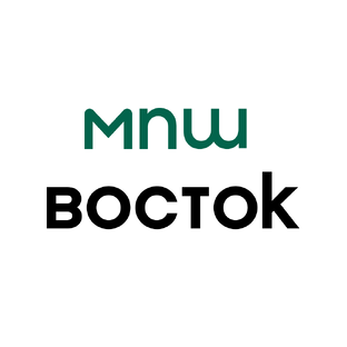 Статистика Дзен МПШ Восток | MPH Vostok | Работа в промышленности и строительстве