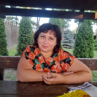 Дзен Малиновый хуторок статистика