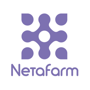 Статистика Дзен Netafarm