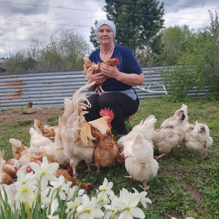 Статистика Дзен   Хорошо в деревне Задней. 