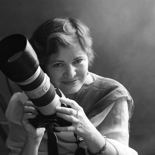 Статистика Дзен Фотоклуб
