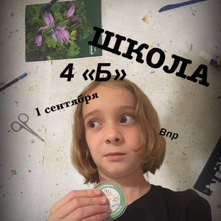 Статистика Дзен котик лера