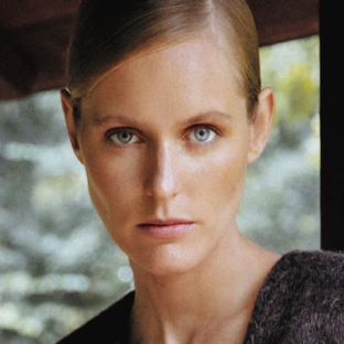 Дзен Эрика Говорит статистика