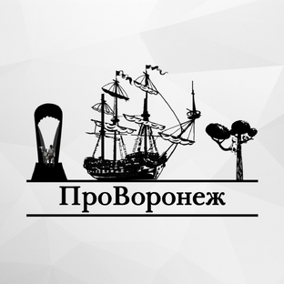 Статистика Дзен Новости Воронежа и Воронежской области