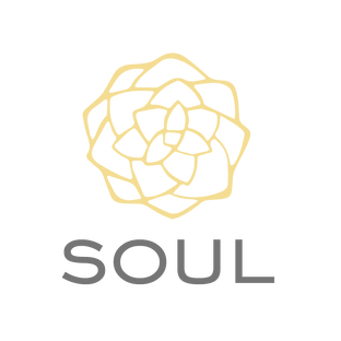 Статистика Дзен Soul