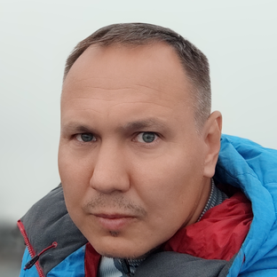 Статистика Дзен СпортикМакс