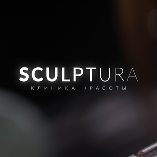 Статистика Дзен Клиника косметологии Sculptura