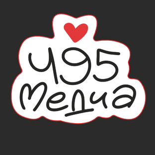 Статистика Дзен 495 Медиа 