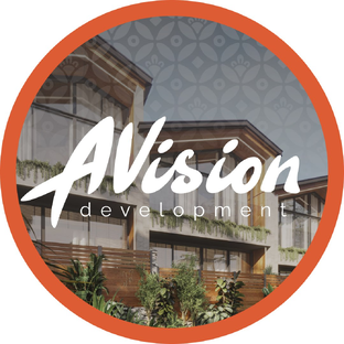 Статистика Дзен Avision Development