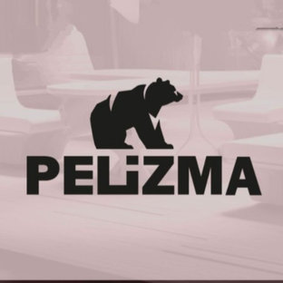 Статистика Дзен PELIZMA 