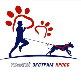 Статистика Дзен Русский экстрим кросс 12-13. 09. 26