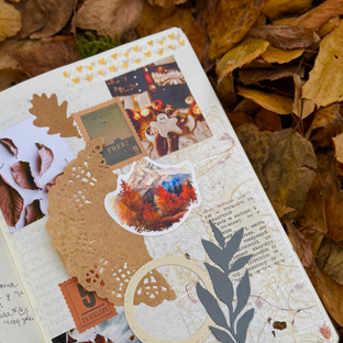 Статистика Дзен Juliareshka’s planners