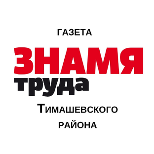 Статистика Дзен "Знамя Труда" Тимашевск