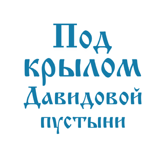 Статистика Дзен Под крылом Давидовой пустыни.