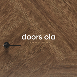 Статистика Дзен Фабрика дверей DOORS-OLA