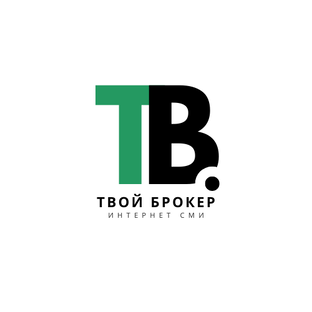 Дзен Tvoy-Broker.com статистика