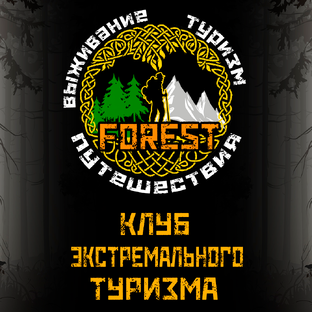 Статистика Дзен -FOREST- КЛУБ ЭКСТРЕМАЛЬНОГО ТУРИЗМА
