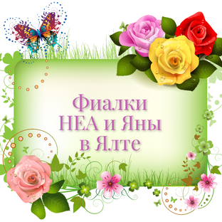 Статистика Дзен Фиалки НЕА и Яны в Ялте