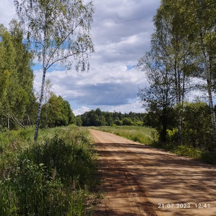 Статистика Дзен Несезон 