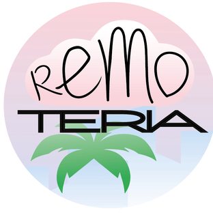 Статистика Дзен Remoteria