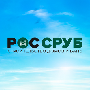 Статистика Дзен РОССРУБ. Главный по строительству деревянных домов и бань