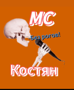 Статистика Дзен МС Костян