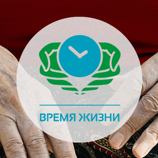 Статистика Дзен Время жизни | Сеть частных пансионатов