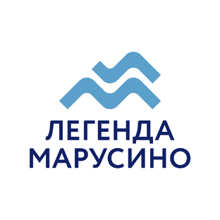 Статистика Дзен ЖК "Легенда Марусино"