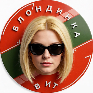 Статистика Дзен Блондинка в IT