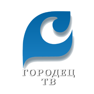 Статистика Дзен Телеканал "Городец ТВ"