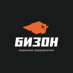 Статистика Дзен Группа охранных компаний «Бизон»