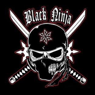 Статистика Дзен Black Ninja