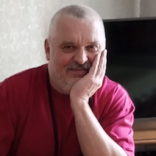 Статистика Дзен Ток жизни