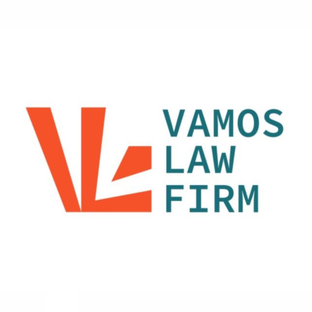 Статистика Дзен Vamos Law Firm
