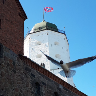 Статистика Дзен На Крыльях Ветра🪶 Заметки А.К.