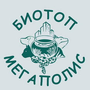 Статистика Дзен Зообункер