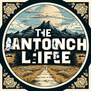 Статистика Дзен Антоныч-Life!