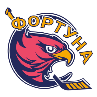 Статистика Дзен ХК «Фортуна»