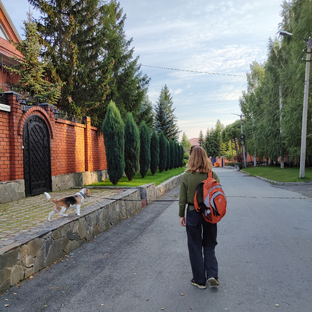 Статистика Дзен В гостях у интроверта
