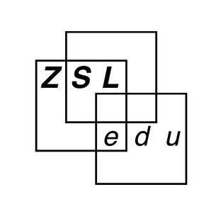Статистика Дзен ZSLab | Лаборатория Заславского | ZSLEdu