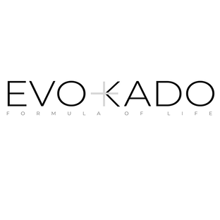 Статистика Дзен EVOKADO