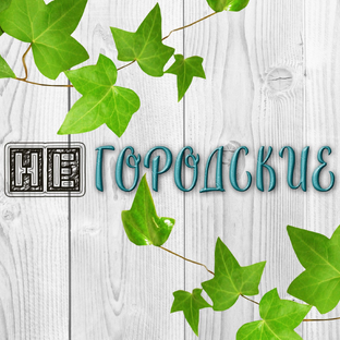 Статистика Дзен НЕгородские (о нутриях и не только)