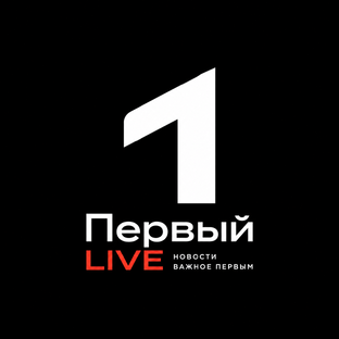 Статистика Дзен ⚡ Первый LIVE