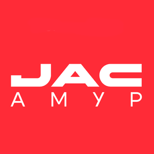 Статистика Дзен JAC АМУР