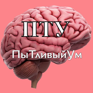 Статистика Дзен ПыТливыйУм
